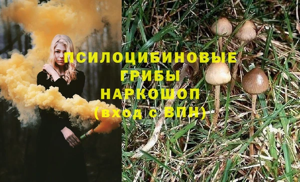 гидра Алзамай