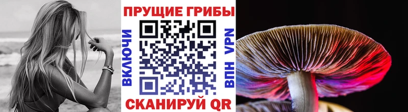 Псилоцибиновые грибы Cubensis  цена наркотик  Рудня 